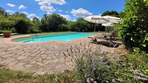 Piscina con terraza de piedra, rodeada de vegetación y un cielo despejado.
