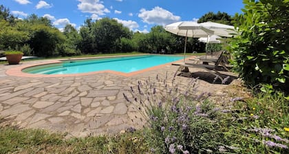 Independent holiday house surrounded by a wide fenced garden with pool , located in the Tuscan coun