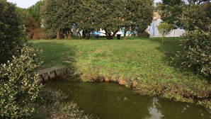 Un parque tranquilo con un estanque, árboles y un pequeño puente.