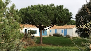 Una casa de exterior blanco con contraventanas azules y un gran árbol en primer plano.