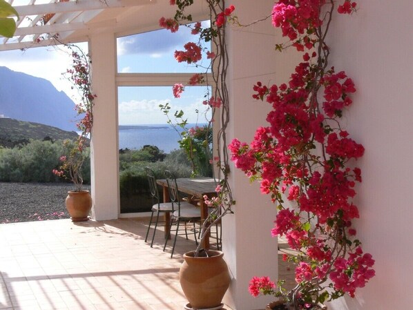 Restauration en plein air