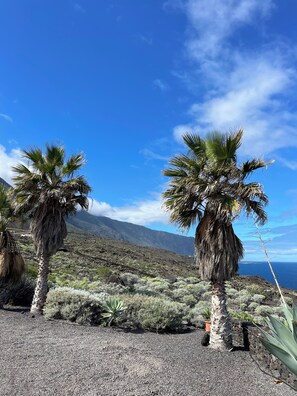 Terrain de l’hébergement 
