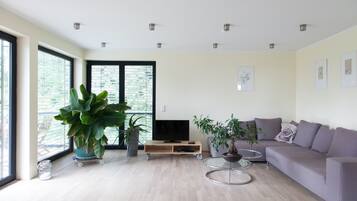 TV, DVD player, books