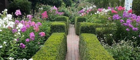 المنطقة المحيطة بالمنشأة