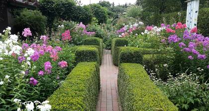 Vacation like in paradise. Apartment with large rooms and beautiful ambience.