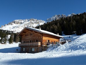 Exterior - Chalet, alpine hut, ski hut in the middle of the ski area, vacation apartment (Deutschnofen)