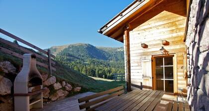 Chalet, Almhütte, Skihütte mitten im Skigebiet, Ferienwohnung