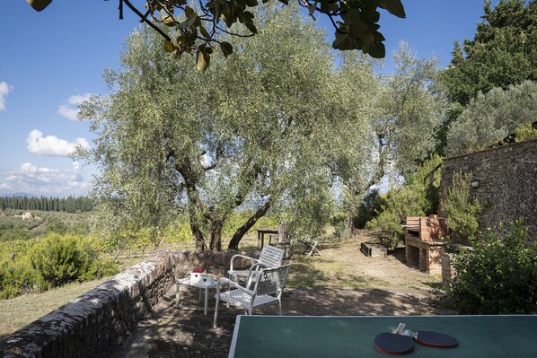 Relax in a serene outdoor space surrounded by olive trees and a mountain view, with a ping pong table and comfortable seating for two.