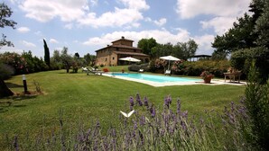 Una casa grande con piscina, rodeada de césped cuidado y diversas plantas.