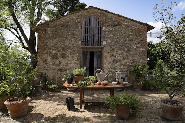 Terrasse/patio