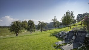 A grassy outdoor area with a path, trees, and two lounge chairs.
