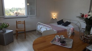 1 bedroom, WiFi, bed sheets
