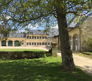 A courtyard with a large tree, a stone wall, and a building with multiple windows and arches.