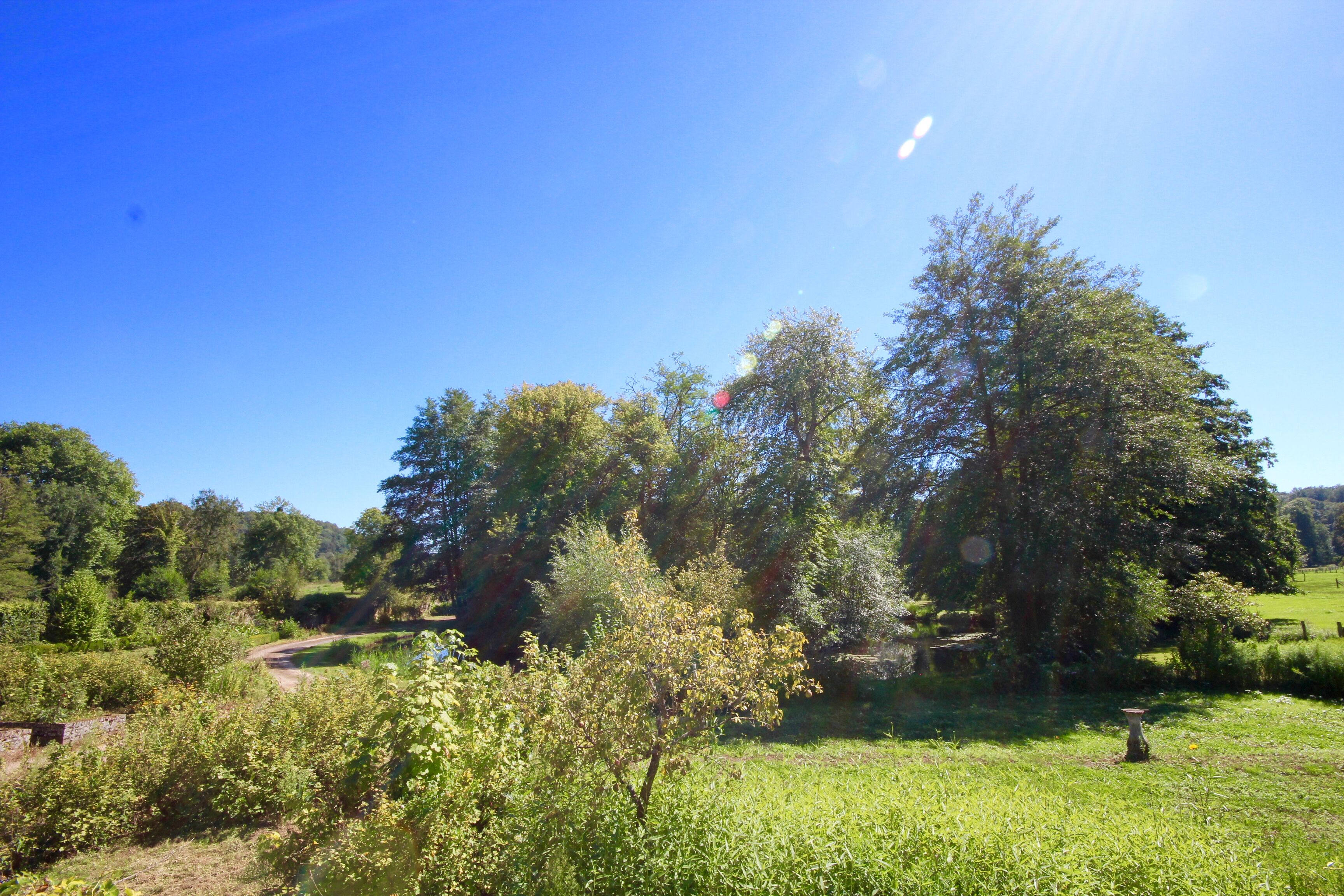 A rural landscape with a dirt path, trees, and a small pond.