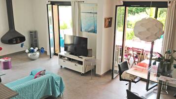 Télévision, cheminée, jeux vidéo, lecteur de DVD