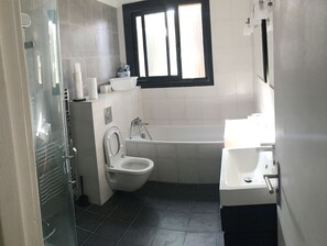 Combined shower/tub, hair dryer, soap, toilet paper