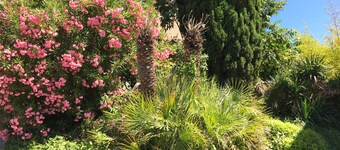 Talo uima-allas ja puutarha lÀhellÀ Montpellier South Sea Road