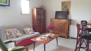 TV, DVD player, books