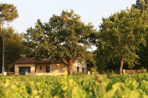 120m2 detached house with PRM access facing the Pape Clément vineyards