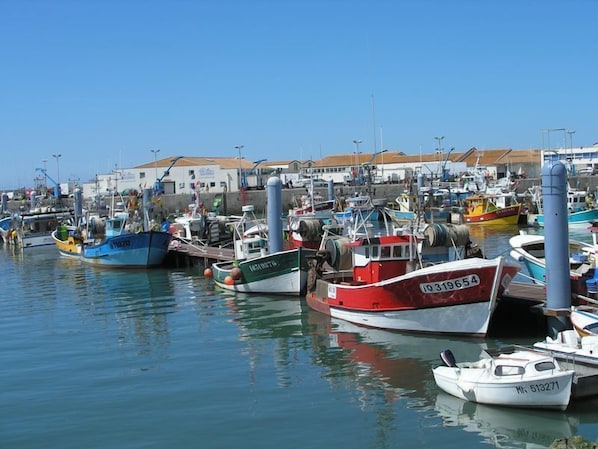 Marina