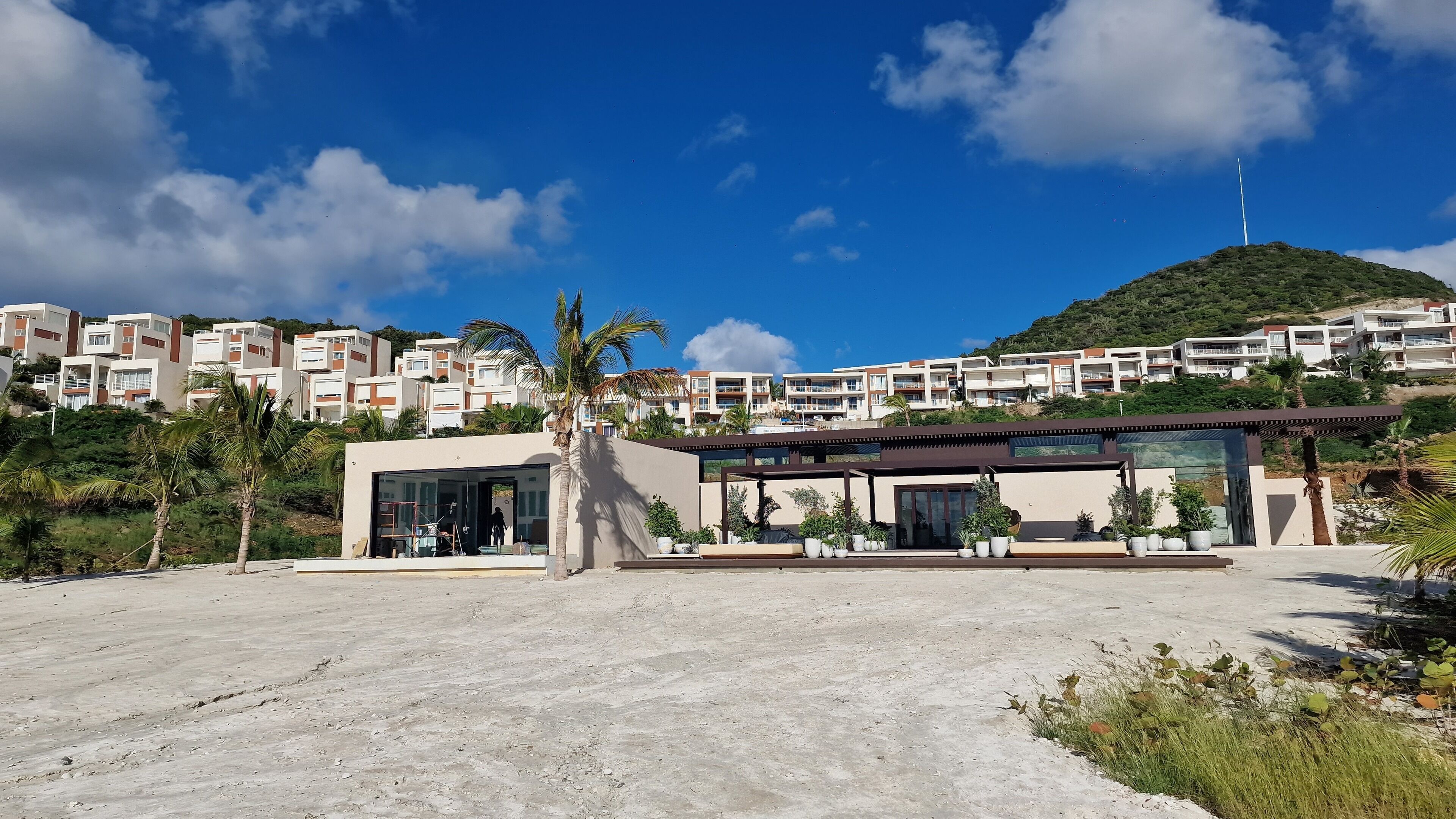 A modern building with a large glass facade, surrounded by palm trees and a clear blue sky.