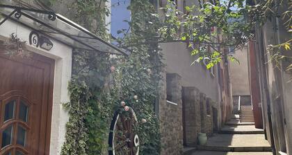 Maison de Centre village FLORAC TROIS RIVIERES bien équipée / gßte