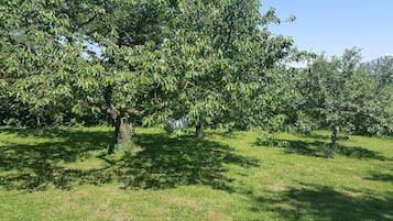 Boendeområde