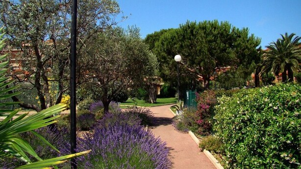 Un chemin de jardin bordé de buissons de lavande, d’arbres et d’un lampadaire.