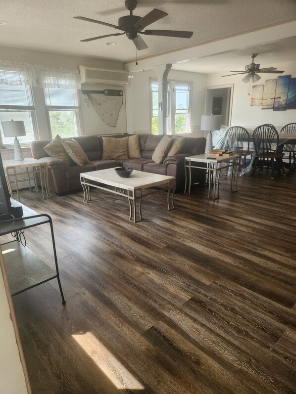 Televisión, reproductor de DVD y libros 