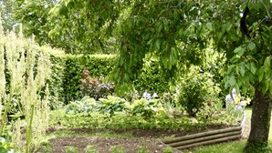A garden with various plants and a wooden fence. - THE ANNEX holiday home in the heart of the vineyard (Verdigny)