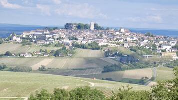 Une ville surmontée d’un château imposant, situé sur une colline et entouré de vignobles et d’immeubles d’habitation.