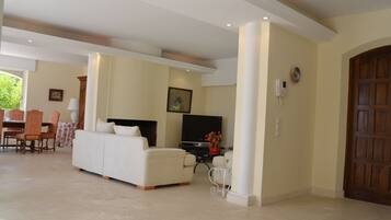 TV, fireplace, DVD player