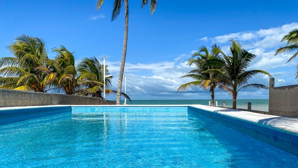 A clear blue pool with a view of the ocean and palm trees. - Summer and Fall Dates Available! (Cuburna, Progreso)