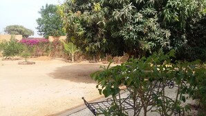 A garden with various plants and a metal cart. - LITTLE PIECE OF HEAVEN (SOMONE)