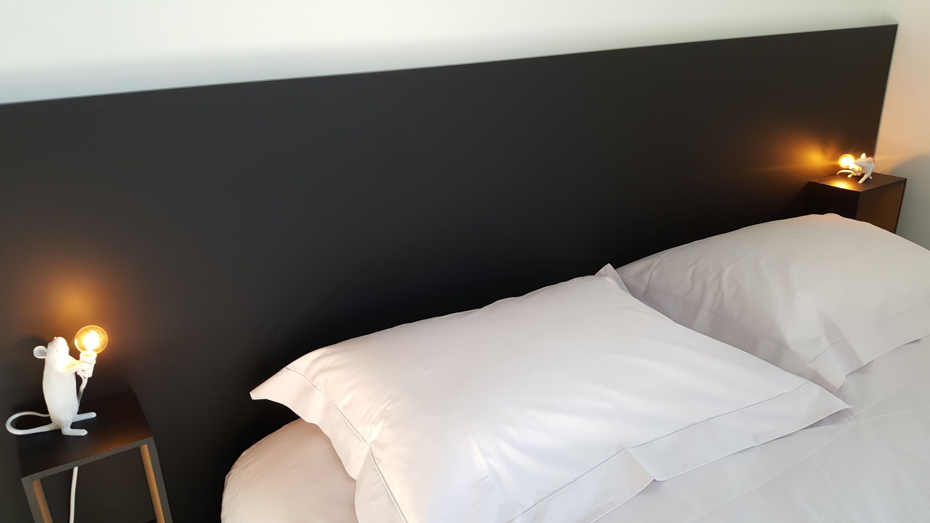 VERY NICE STUDIO IN PEACE 2 STEPS FROM THE CENTER OF LILLE