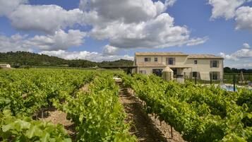 Terrein van de accommodatie