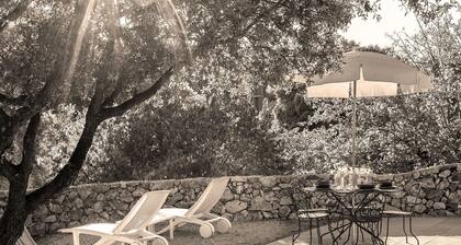Old farmhouse bergerie 15 minutes from Lake St. Croix