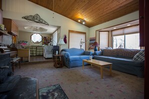 TV, Netflix, DVD player, books