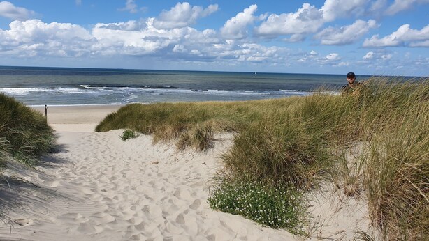 Beach/ocean view - Hotel Brasserie Den Burg (Den Burg)