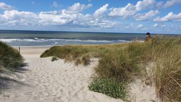 Näkymä rannalle/valtamerelle