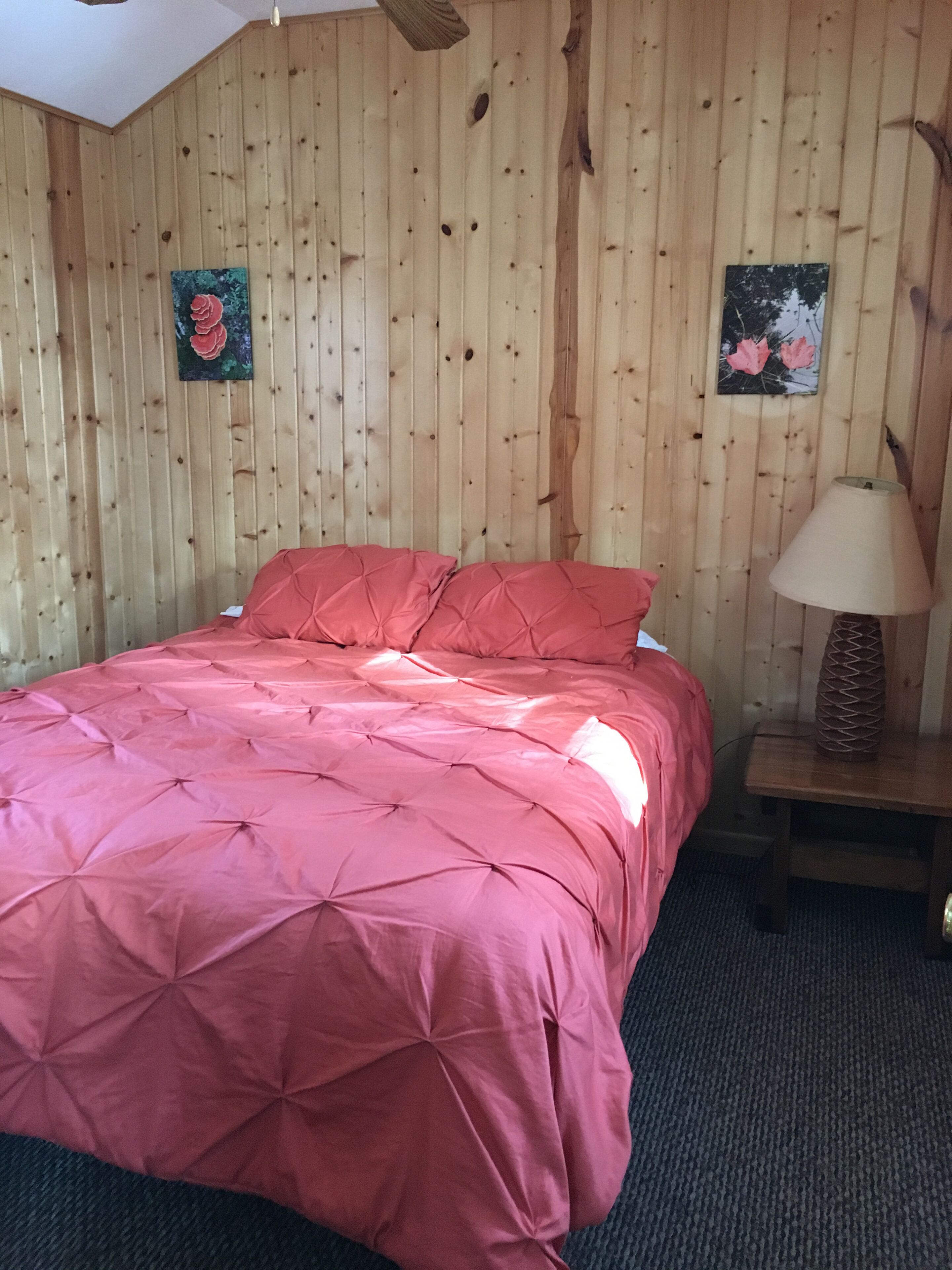 Cozy cabin in the Northwoods at AuTrain Lake! Fireplace, close to pictured rocks