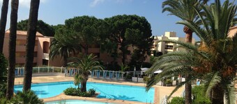 THE BEACH 300 m AWAY, THE PALMS, THE SUN