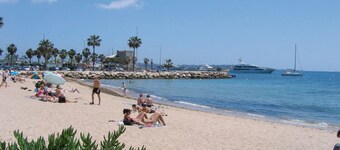 THE BEACH 300 m AWAY, THE PALMS, THE SUN