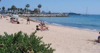 LA PLAGE A 300 m, LES PALMIERS LE SOLEIL