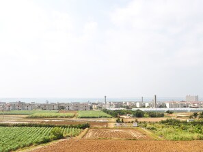 Vistas desde la habitación