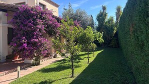 Un jardin bien entretenu avec une maison, une pelouse et diverses plantes.