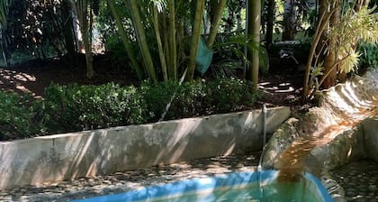 Ein Vorgeschmack auf die Insel im Herzen des Paradieses! Utila