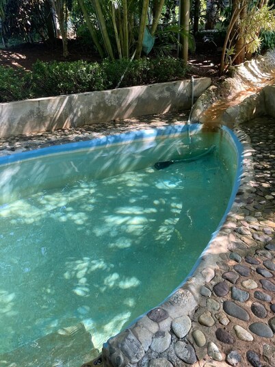 House with private stay in Utila, sleeps 10 persons