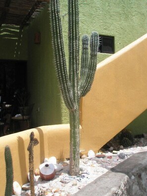 Terrain de l’hébergement 