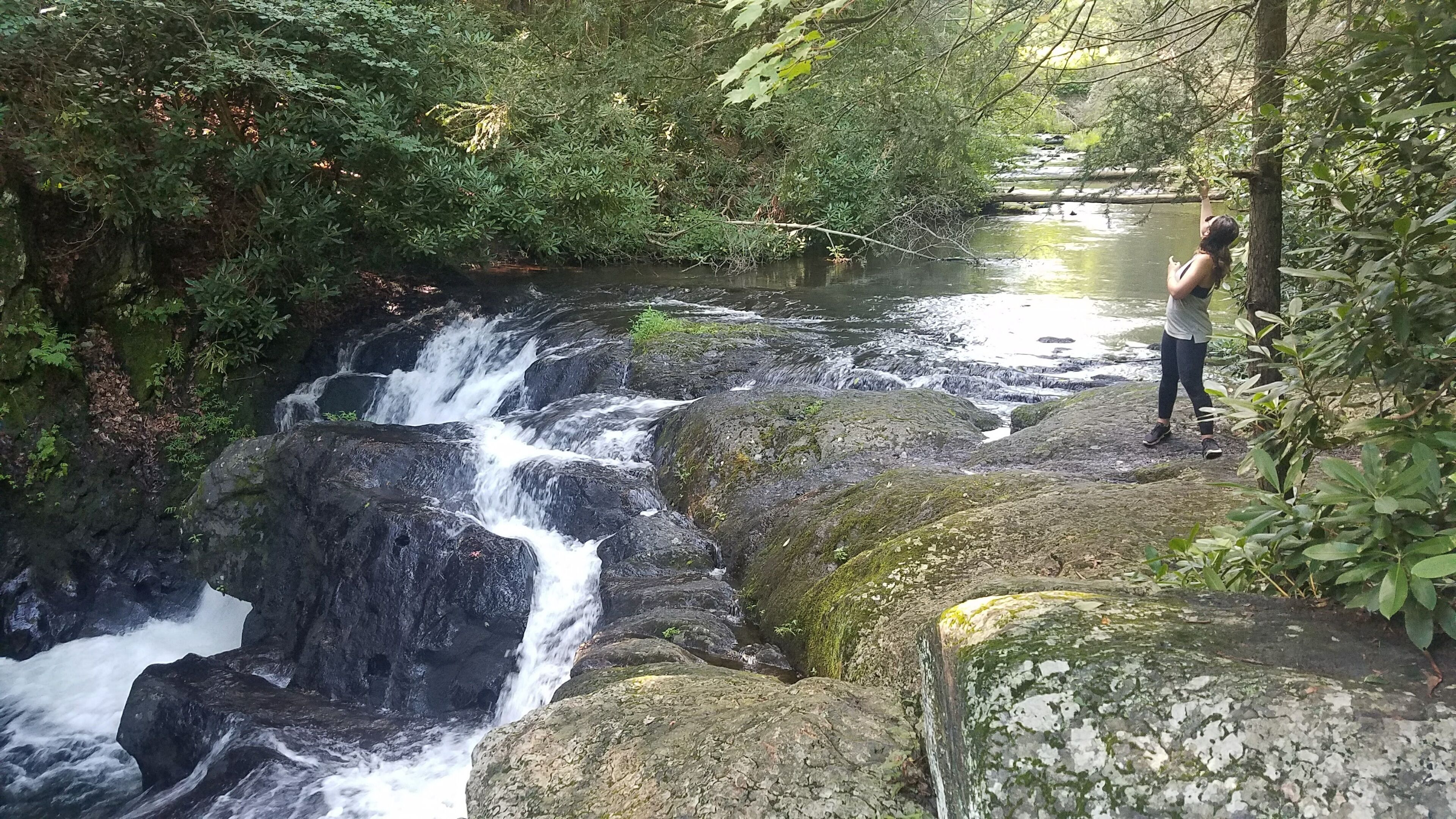 Une cascade naturelle, entourée d’une végétation luxuriante.